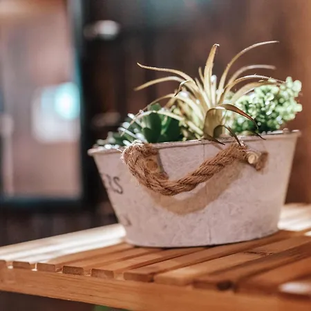 Challet Nestor Chalet *