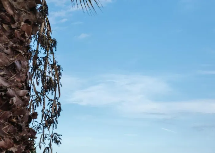 Chalet Challet Nestor *